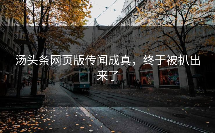 汤头条网页版传闻成真，终于被扒出来了