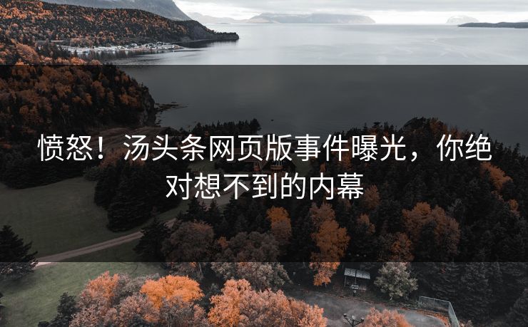 愤怒!汤头条网页版事件曝光,你绝对想不到的内幕