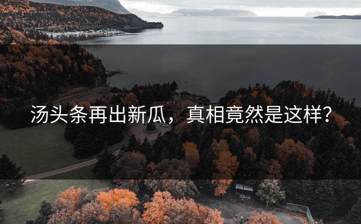 汤头条再出新瓜,真相竟然是这样?