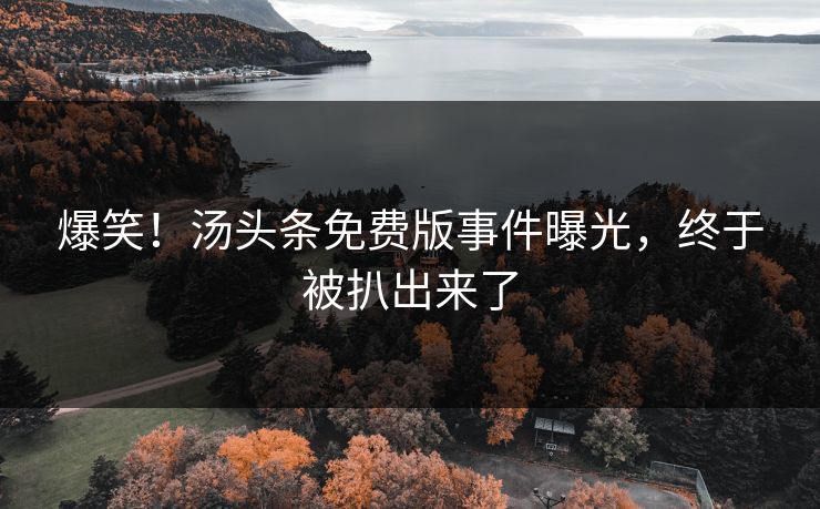 爆笑！汤头条免费版事件曝光，终于被扒出来了