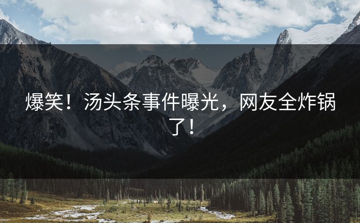 爆笑！汤头条事件曝光，网友全炸锅了！