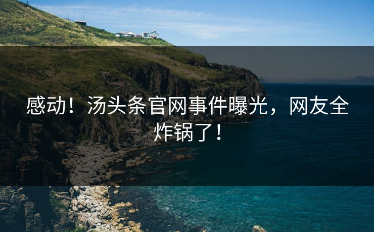 感动！汤头条官网事件曝光，网友全炸锅了！