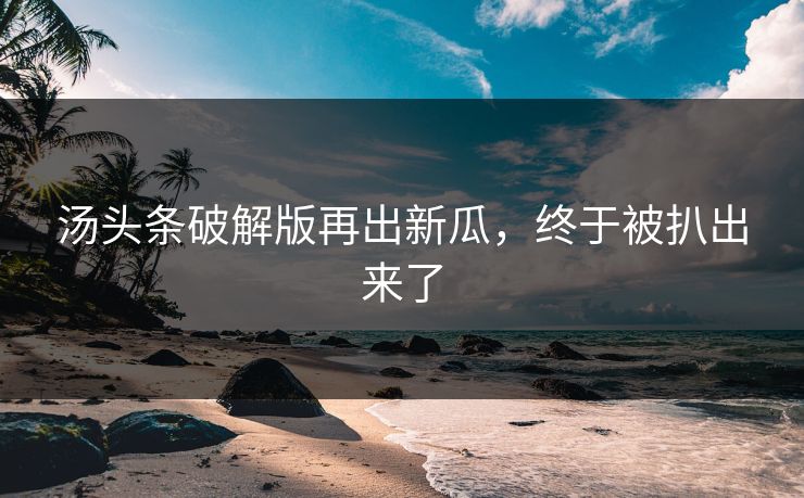 汤头条破解版再出新瓜，终于被扒出来了