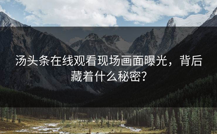 汤头条在线观看现场画面曝光，背后藏着什么秘密？
