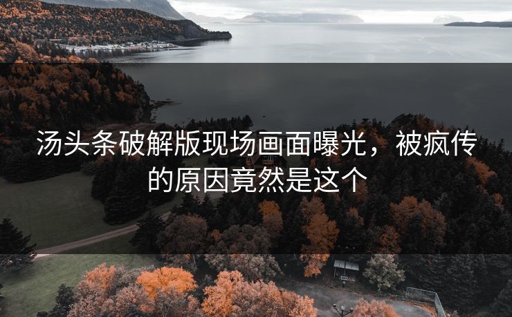 汤头条破解版现场画面曝光，被疯传的原因竟然是这个