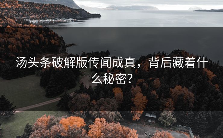 汤头条破解版传闻成真，背后藏着什么秘密？