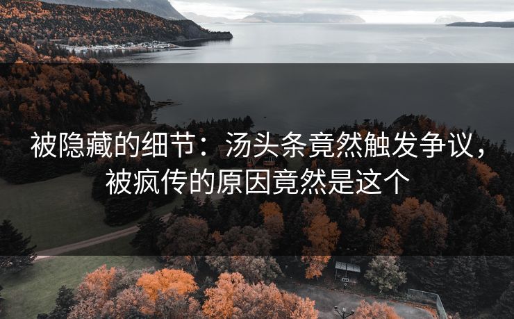 被隐藏的细节：汤头条竟然触发争议，被疯传的原因竟然是这个