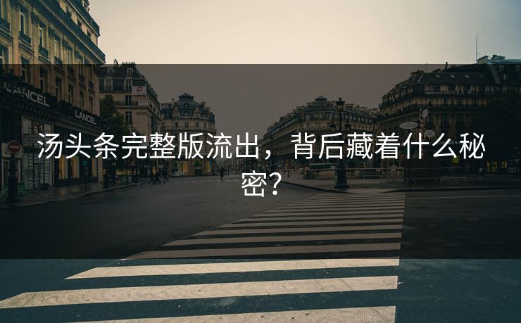 汤头条完整版流出，背后藏着什么秘密？