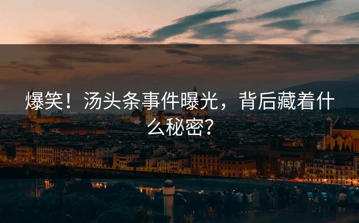 爆笑！汤头条事件曝光，背后藏着什么秘密？