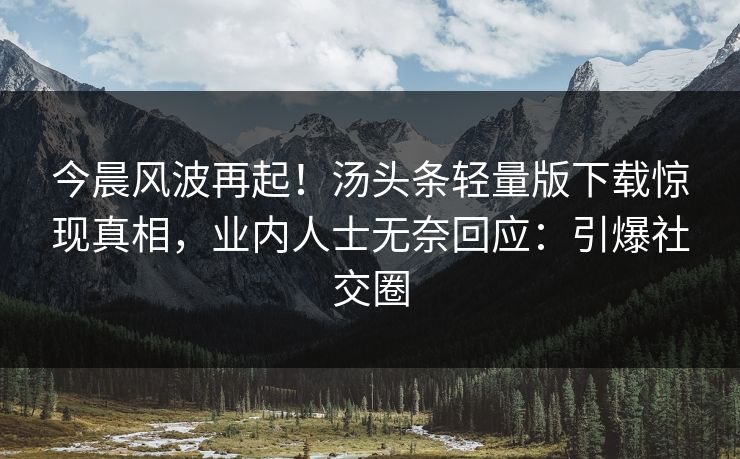 今晨风波再起!汤头条轻量版下载惊现真相,业内人士无奈回应:引爆社交圈