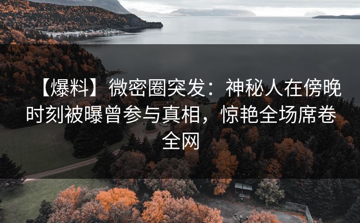 【爆料】微密圈突发：神秘人在傍晚时刻被曝曾参与真相，惊艳全场席卷全网