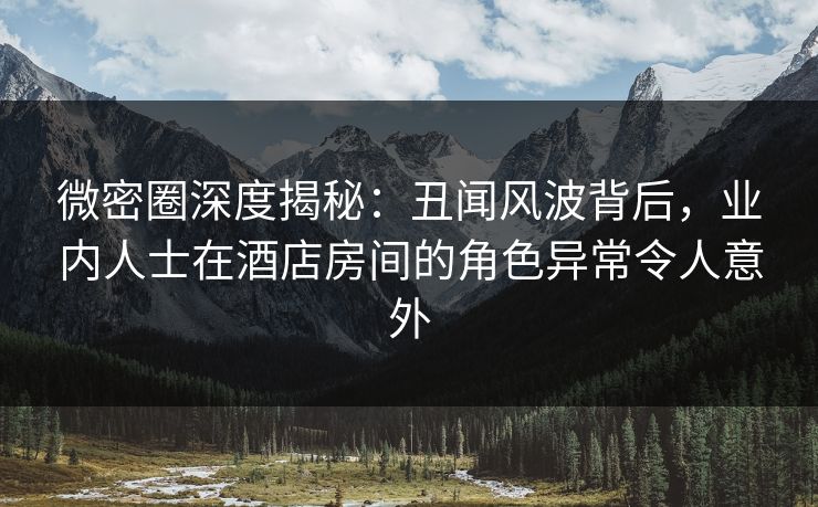 微密圈深度揭秘：丑闻风波背后，业内人士在酒店房间的角色异常令人意外