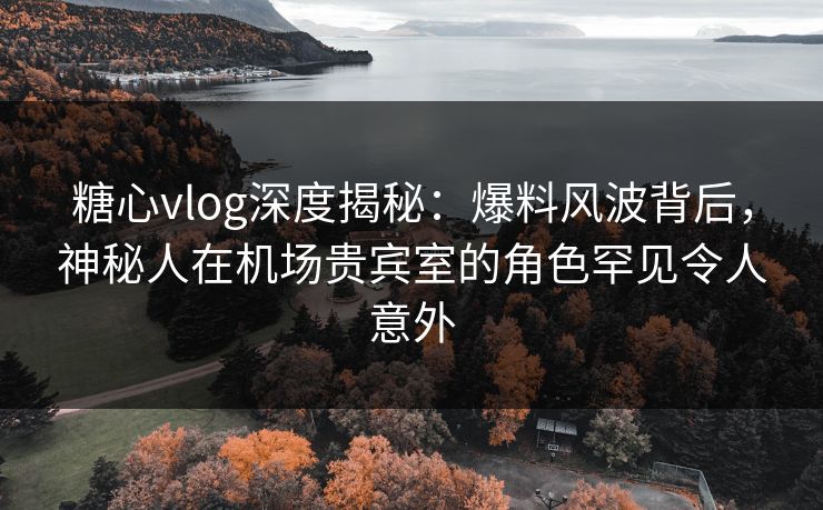 糖心vlog深度揭秘：爆料风波背后，神秘人在机场贵宾室的角色罕见令人意外