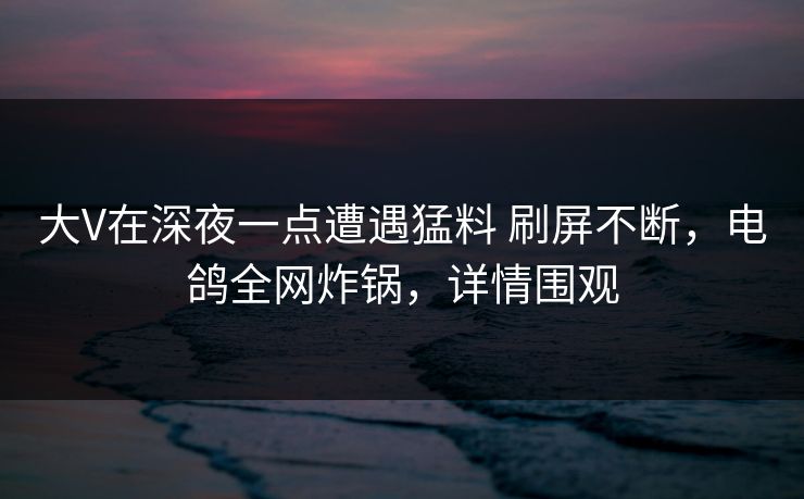 大V在深夜一点遭遇猛料 刷屏不断，电鸽全网炸锅，详情围观
